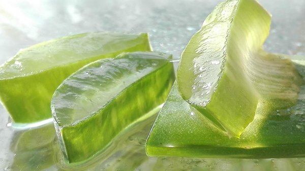 Forever aloe vera gel : les bienfaits d'un gel d'aloe pur à 99,7 %